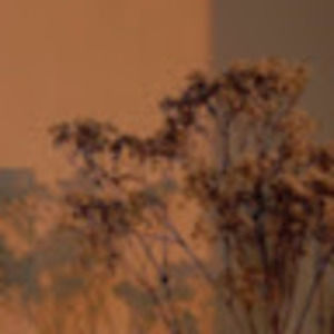 Meet your Posher, Alisa